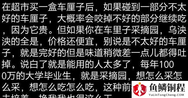 字节跳动疯狂招人的背后